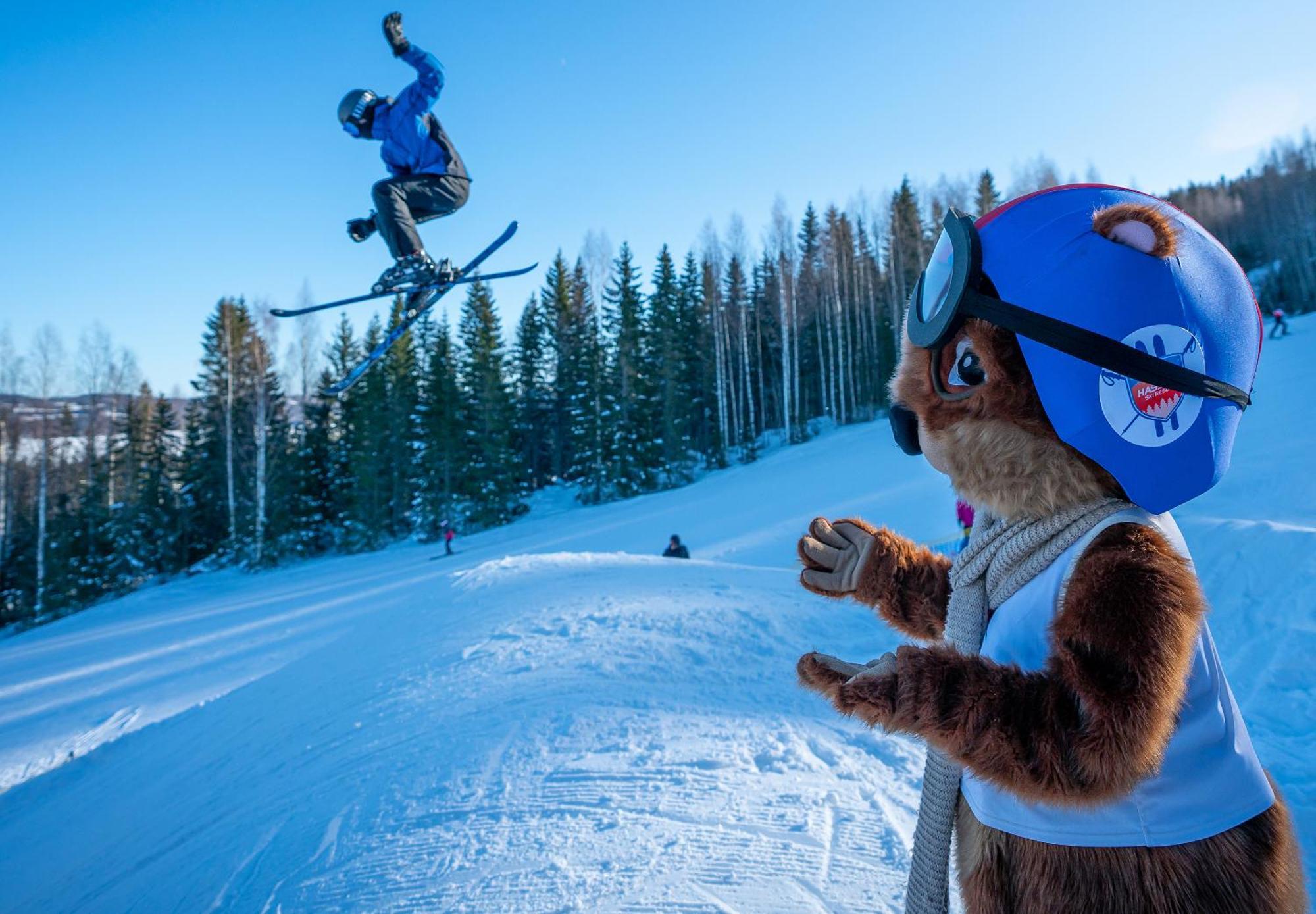 Hassela Ski Resort Экстерьер фото