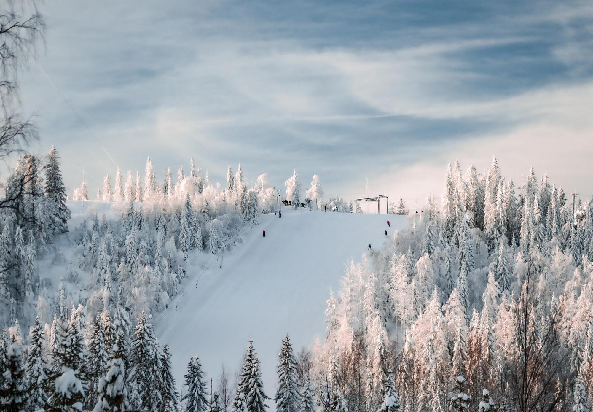 Hassela Ski Resort Экстерьер фото