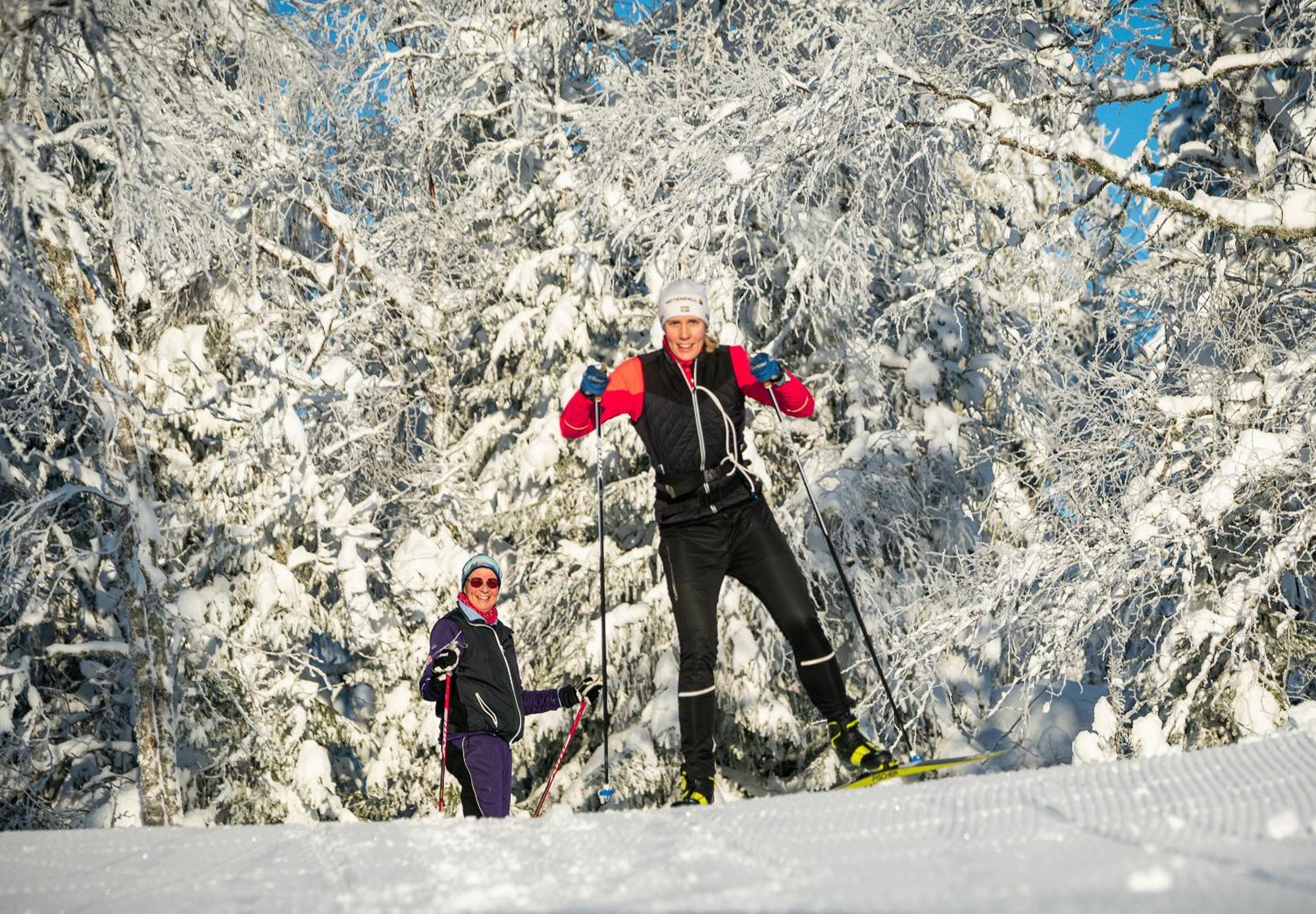 Hassela Ski Resort Экстерьер фото