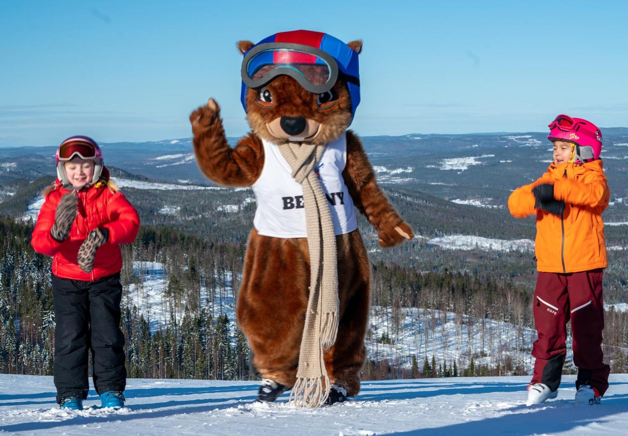 Hassela Ski Resort Экстерьер фото